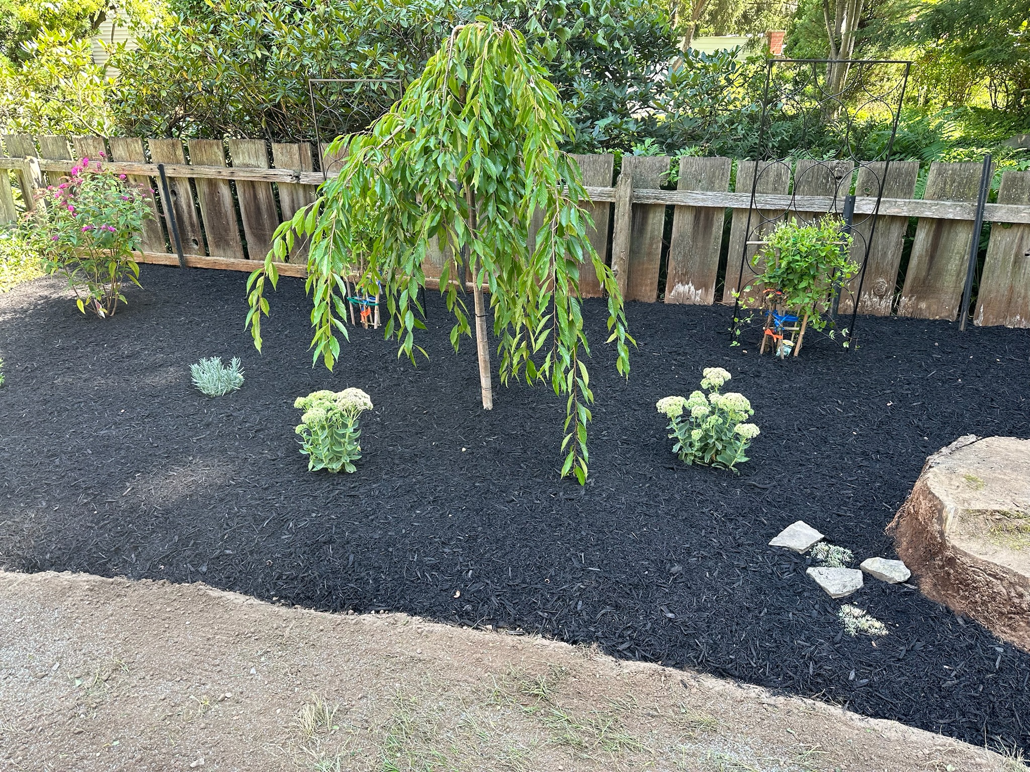 2023 garden upgrade after photo 4